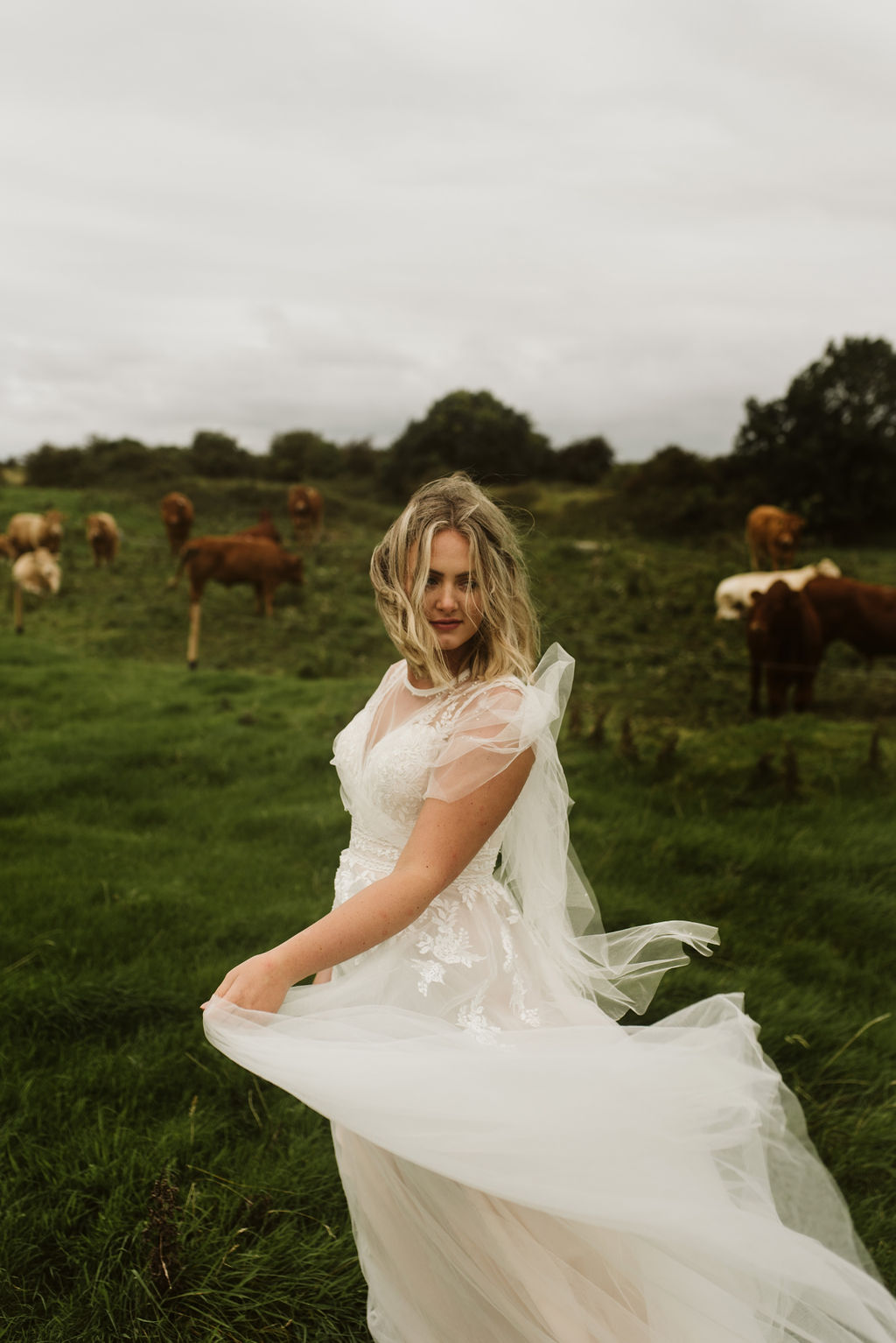 Bride swings the skirt of her lace and tulle aline wedding dress with lace straps and tulle cape in front of a field of cows at Ross Errilly Friary in Ireland